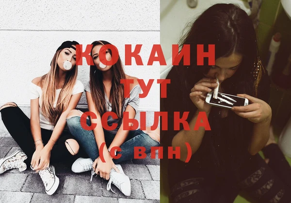 крисы Осинники
