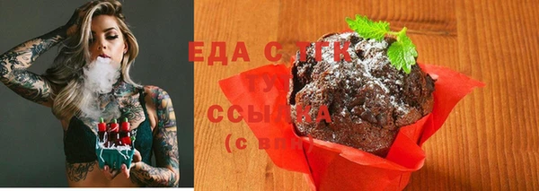 крисы Осинники